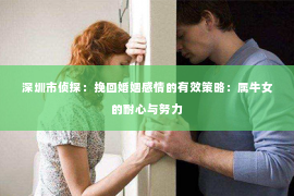 深圳市侦探：挽回婚姻感情的有效策略：属牛女的耐心与努力