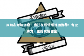 深圳市婚姻调查：宿迁在线情感挽回推荐：专业助力，重拾爱情甜蜜