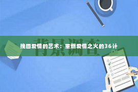 挽回爱情的艺术：重燃爱情之火的36计